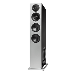 Flagship Tower Loudspeaker with Dual 10