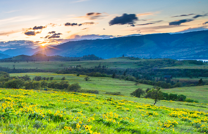 Televisor De 65" | 4K | Google TV | HDR | BRAVIA 5