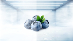 11.8 Pies Cúbico Refrigerador Top Mount