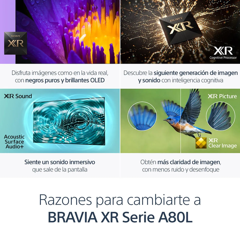 Televisor de 65"A80L | 4K Ultra HD | Alto rango dinámico (HDR) | Google TV | Control de voz con Google Assistant  | BRAVIA XR | OLED