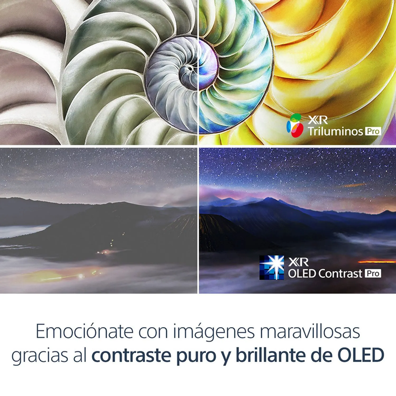 Televisor de 65"A80L | 4K Ultra HD | Alto rango dinámico (HDR) | Google TV | Control de voz con Google Assistant  | BRAVIA XR | OLED