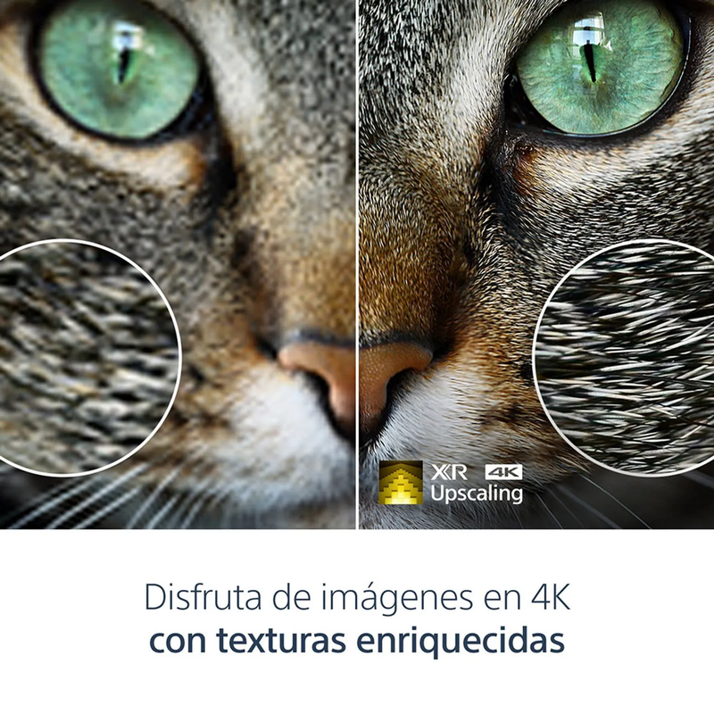 Televisor de 65"A80L | 4K Ultra HD | Alto rango dinámico (HDR) | Google TV | Control de voz con Google Assistant  | BRAVIA XR | OLED