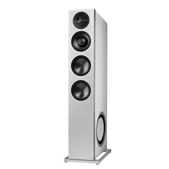 Flagship Tower Loudspeaker with Dual 10