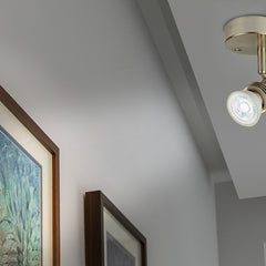 Lámpara de techo orientable Spot, Dirigible, satinado